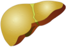 Non-Alcoholic Fatty Liver Disease (NAFLD)